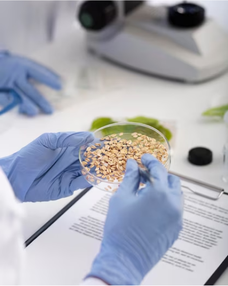 Rectangle 148 (3).png